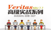 Veritas NBU、Infoscale备份容灾全家桶套餐