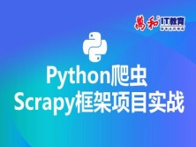 Python爬虫Scrapy框架项目实战视频教程-万和IT教育