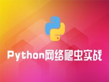 Python网络爬虫实战视频课程