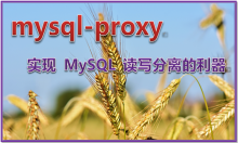 实现 MySQL 读写分离的利器 mysql-proxy