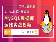  杨哥Linux云计算系列④：MySQL DBA 运维实战视频教程