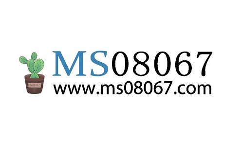 Ms08067安全实验室