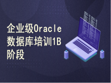 【Oracle辅导学习培训班】1B-企业级Oracle数据库实战入门与集群实施