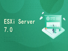 安装和配置 VMWare ESXi Server 7.0