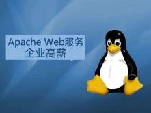 Apache Web服务企业**实战视频课程(老男孩全新运维进阶系列L043-045)